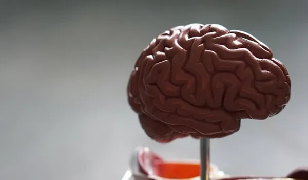 Neurological Rehab